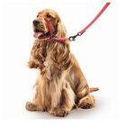 Beaphar Gentle Leader Açaime vermelho para cães, , large image number null