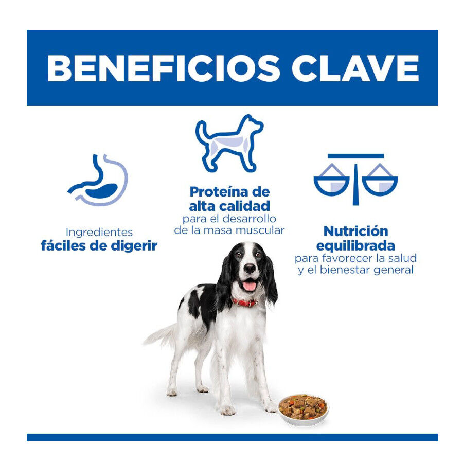 363 g Hill's Science Plan Adult Comida h&uacute;mida de Frango e Legumes para c&atilde;es, , large Imagem n&uacute;mero 3