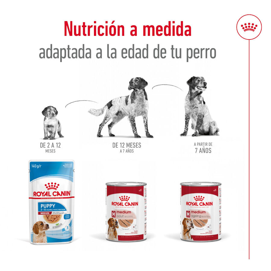 410 g Royal Canin Medium Adult Pat&ecirc; em lata para c&atilde;es, , large Imagem n&uacute;mero 4
