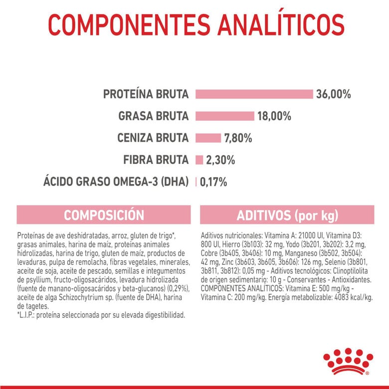 10 kg Royal Canin Kitten ração para gatos,  Imagem número 9 10 kg Royal Canin Kitten ração para gatos, , large Imagem número 9