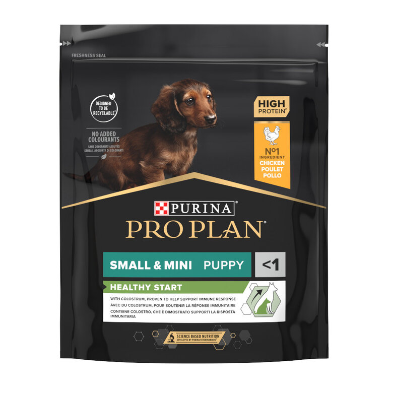 Pro Plan Puppy Small & Mini Healthy Start Frango ração, , large image number null