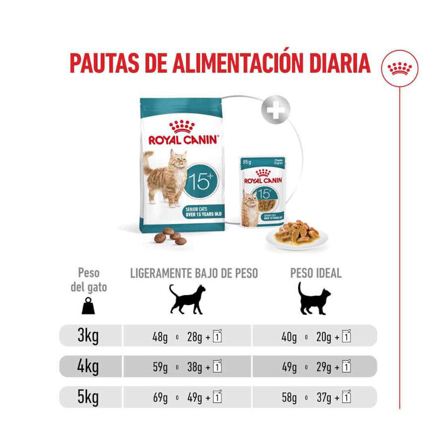 400 g Royal Canin Ageing +15 Ra&ccedil;&atilde;o para gato s&eacute;nior, , large Imagem n&uacute;mero 8