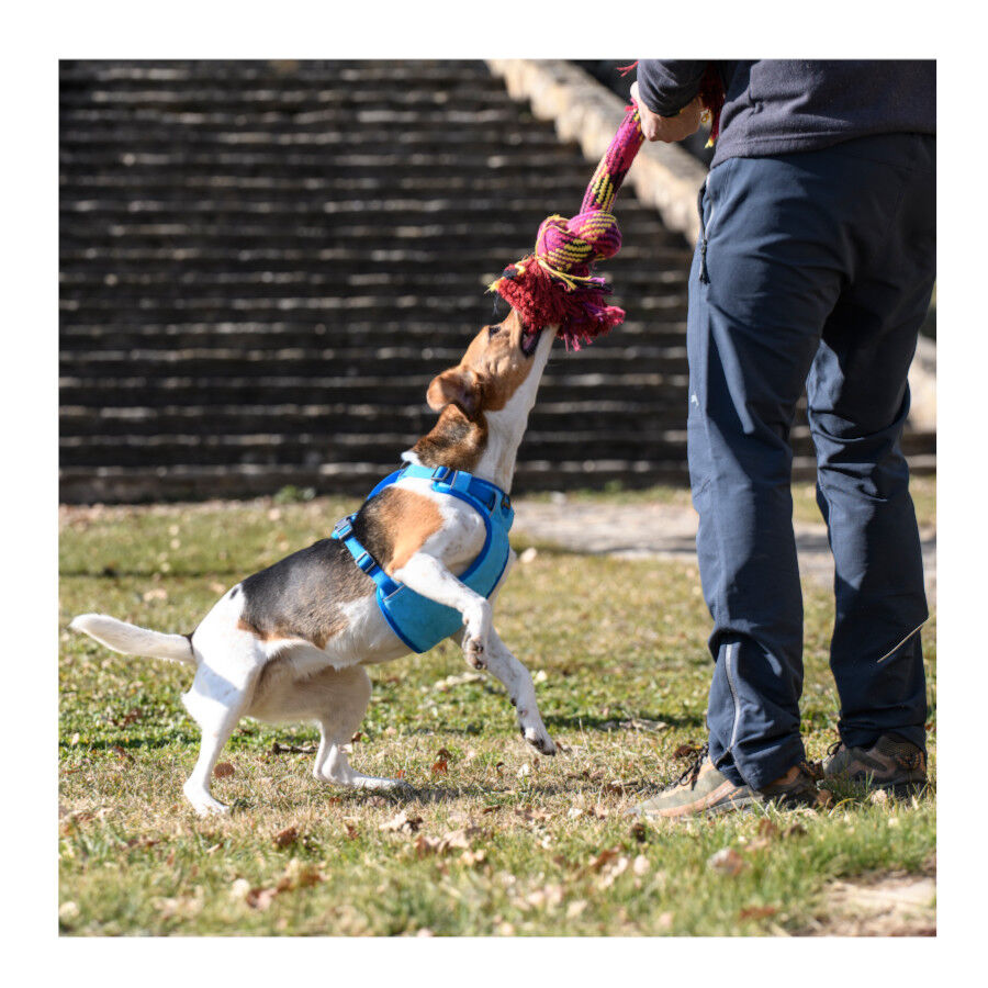 Freedog Cool Pro Tech Peitoral Azul para c&atilde;es, , large Imagem n&uacute;mero 7