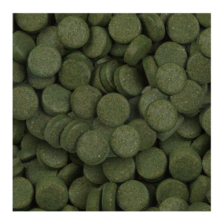 Sera Spirulina Tabs Nature Alimento Vegetal para peixes,  Imagem número 2 Sera Spirulina Tabs Nature Alimento Vegetal para peixes, , large Imagem número 2