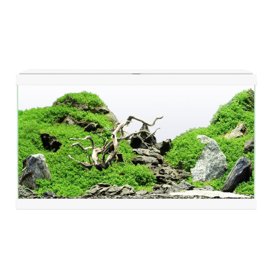 Ciano Aqua Led 60 Aqu&aacute;rio Branco com luz led, filtro e aquecedor, , large Imagem n&uacute;mero 2