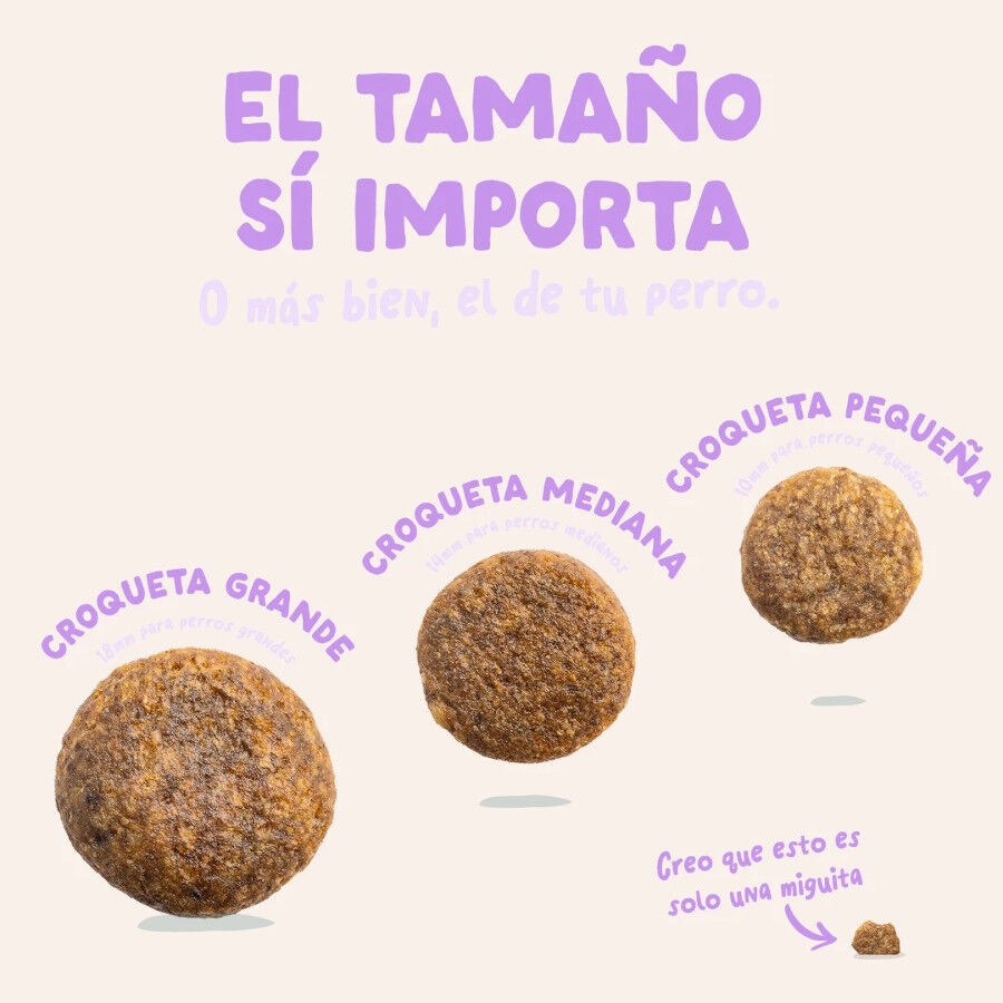 7 kg Edgard & Cooper Pienso Pato para perros adultos medianos, , large Imagem n&uacute;mero 3