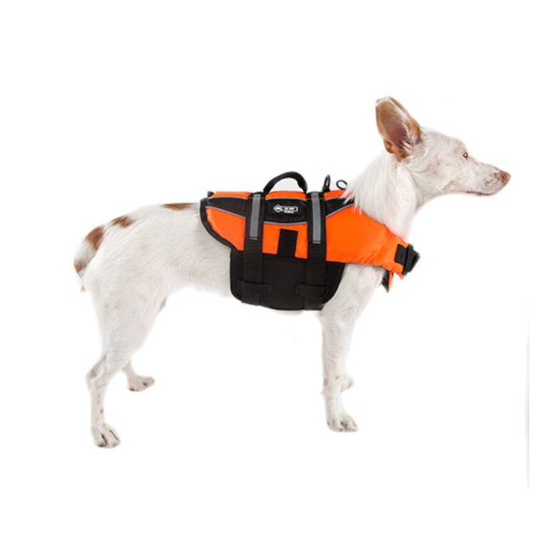 TK-Pet Pyrenees Colete salva-vidas laranja para cães, , large image number null