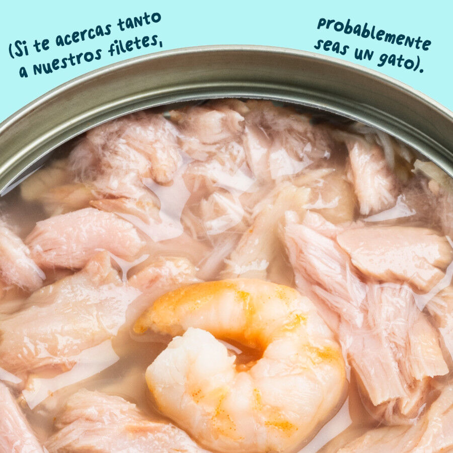 70 g Edgard & Cooper Alimento h&uacute;mido de atum e camar&atilde;o em lata para gatos, , large Imagem n&uacute;mero 5