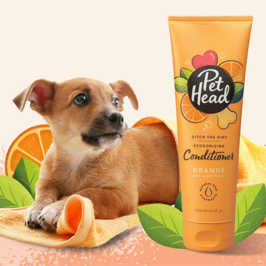 Pet Head Condicionador laranja para c&atilde;es 300ml, , large Imagem n&uacute;mero 2