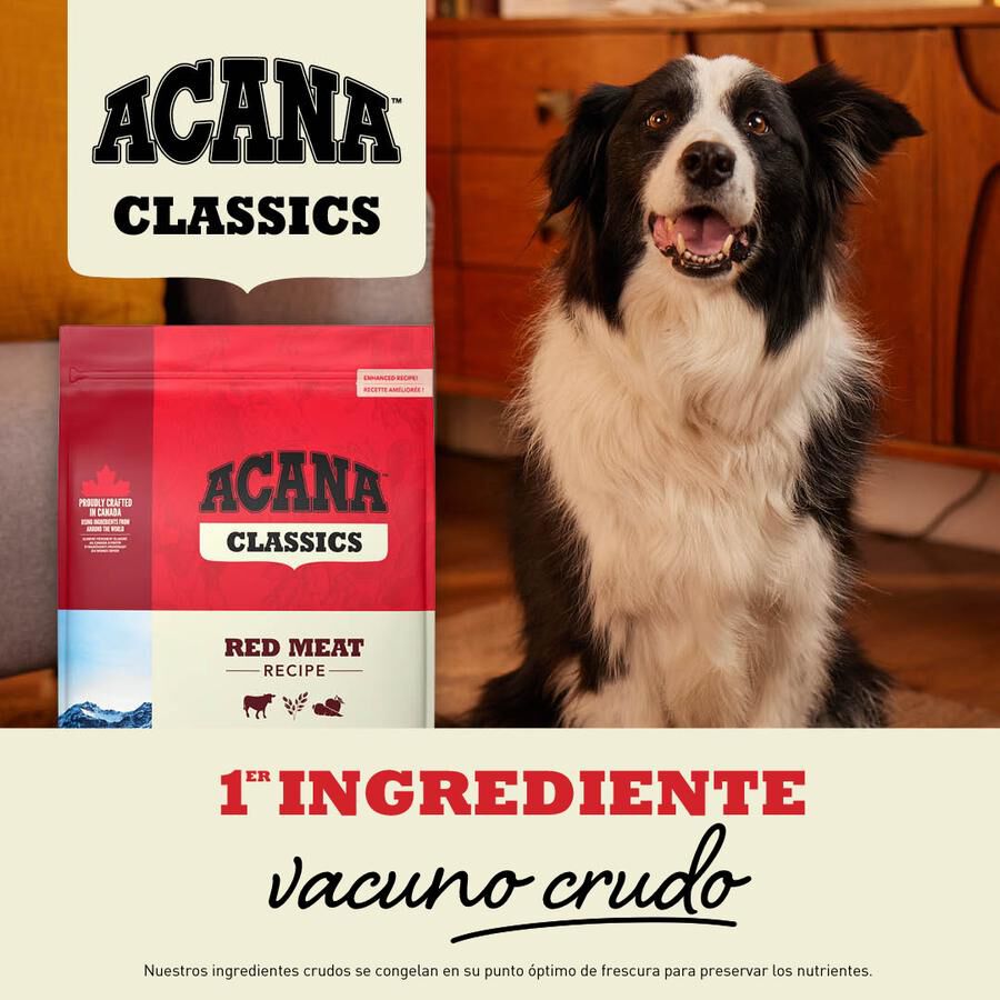 14.5 kg Acana Classic Red Meat Ra&ccedil;&atilde;o para c&atilde;es, , large Imagem n&uacute;mero 2