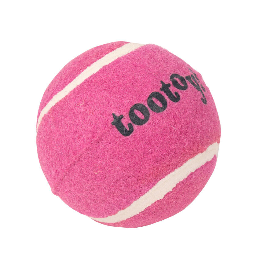Tootoy! Chase Squeaker Ball Rosa bola de t&eacute;nis para c&atilde;es, , large Imagem n&uacute;mero 2