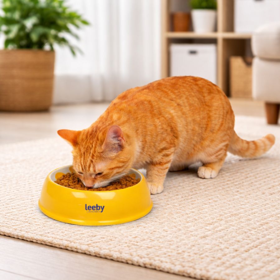 Leeby Comedouro de Cer&acirc;mica Estampado Lim&atilde;o para gatos, , large Imagem n&uacute;mero 1