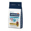 12 kg Advance Active Defense Sensitive Borrego e Arroz ração para cães, , large Indicador imagem número 1
