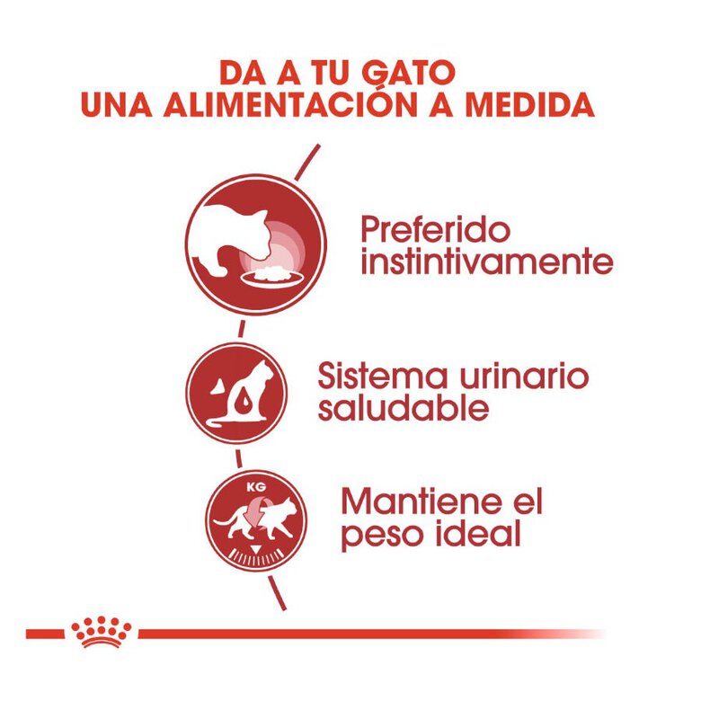 85 g Royal Canin Instinctive alimento húmido em molho saquetas para gatos,  Imagem número 5 85 g Royal Canin Instinctive alimento húmido em molho saquetas para gatos, , large Imagem número 5