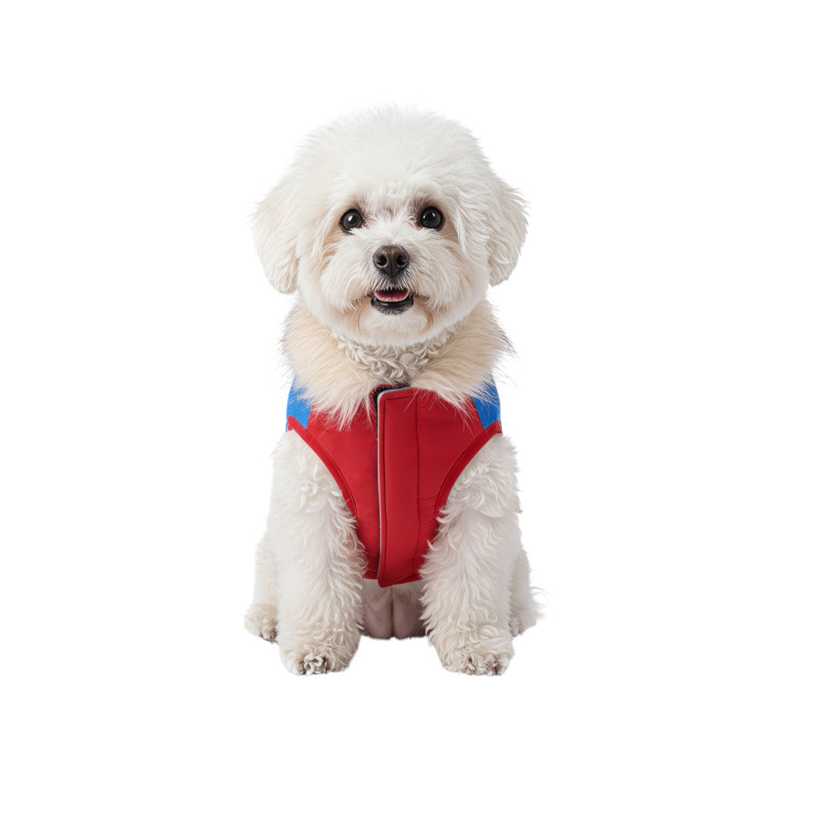 Gotoo Casaco Vermelho com Capuz para c&atilde;es, , large Imagem n&uacute;mero 7