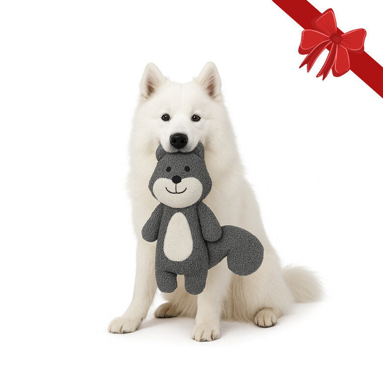 Wonder Christmas Peluche Esquilo de Natal para Cães,  Imagem número 1 Wonder Christmas Peluche Esquilo de Natal para Cães, , large Imagem número 1