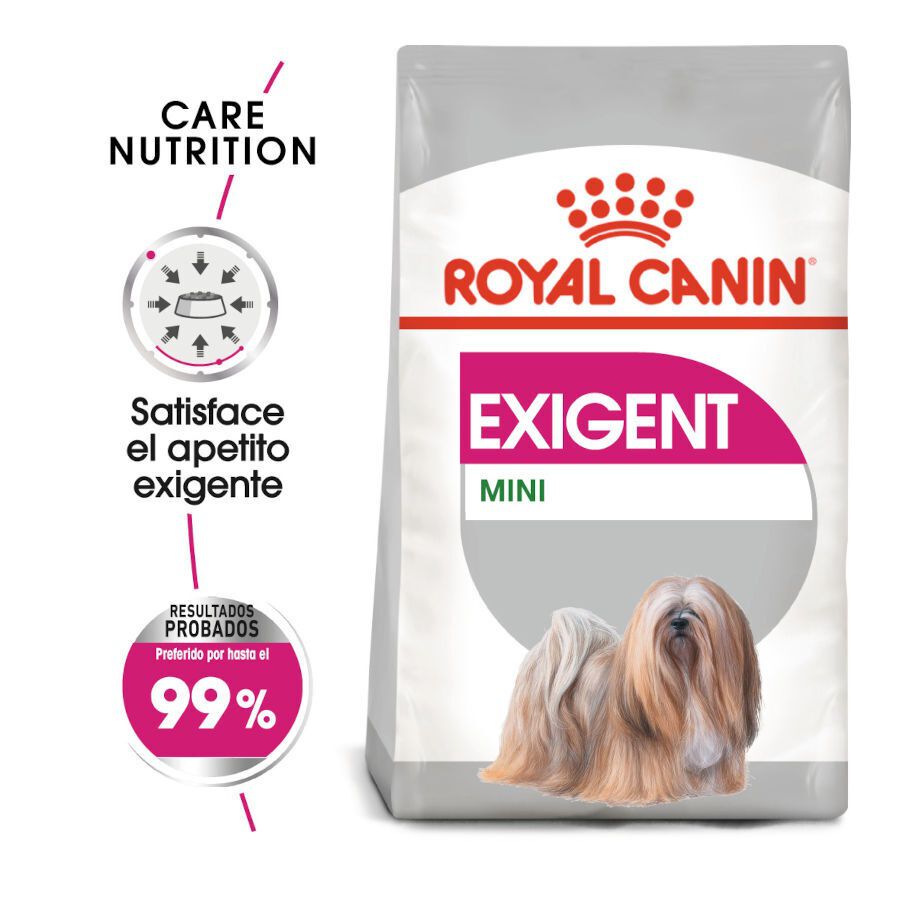 3 kg Royal Canin Exigent Mini ra&ccedil;&atilde;o para c&atilde;es, , large Imagem n&uacute;mero 2