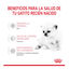 300 g Royal Canin Leche para gatitos primer año, , large Indicador imagem número 6