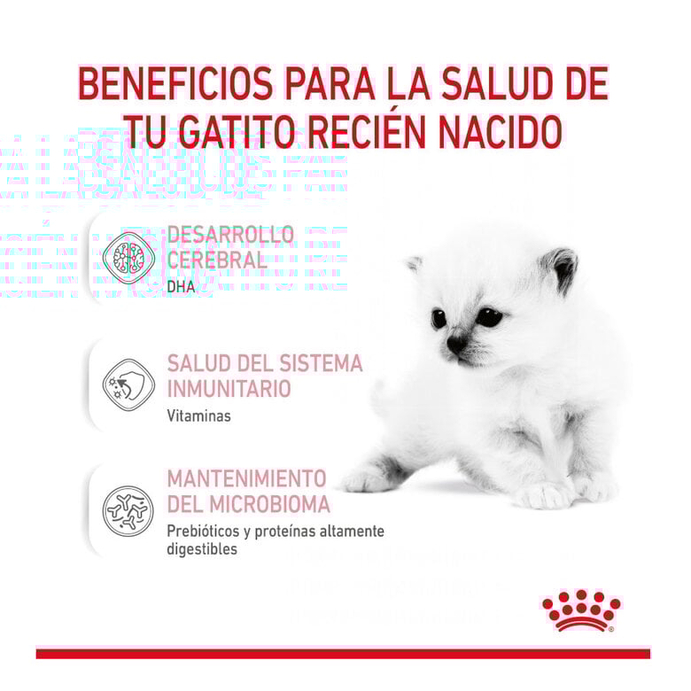 300 g Royal Canin Leite para gatinhos primeiro ano,  Imagem número 6 300 g Royal Canin Leite para gatinhos primeiro ano, , large Imagem número 6