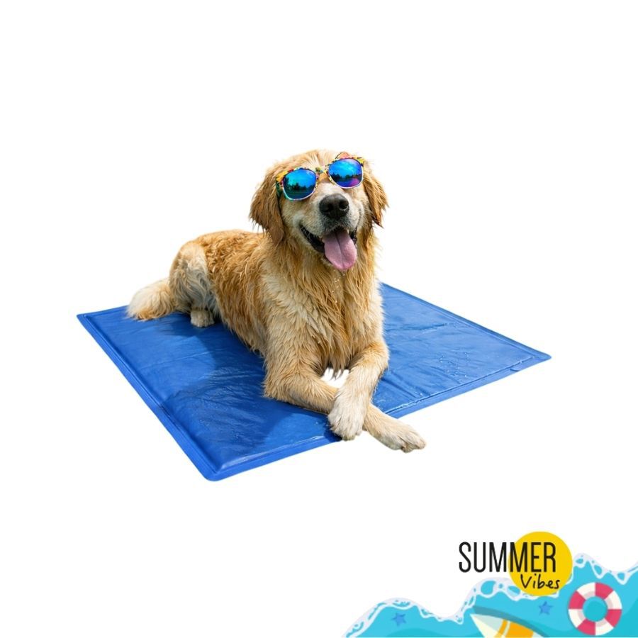 Summer Vibes Manta Refrescante Azul para c&atilde;es, , large Imagem n&uacute;mero 6