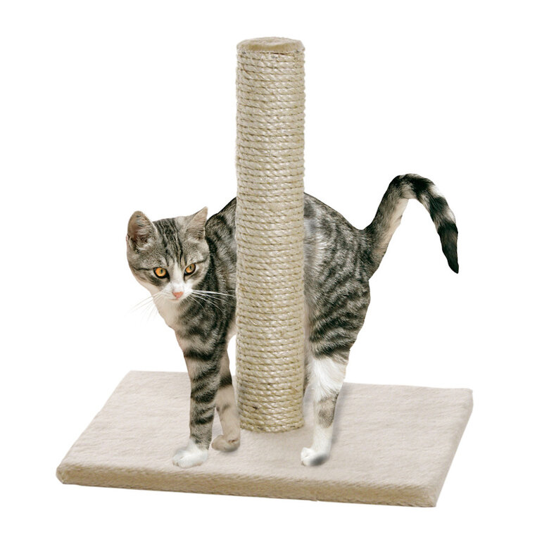 Flamingo Arranhador Bege para gatos,  Imagem número 1 Flamingo Arranhador Bege para gatos, , large Imagem número 1
