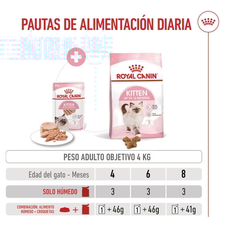 85 g Royal Canin Kitten patê em saquetas para gatos,  Imagem número 8 85 g Royal Canin Kitten patê em saquetas para gatos, , large Imagem número 8