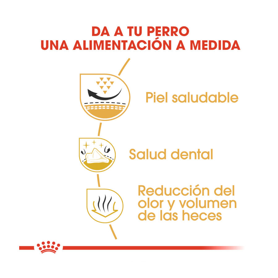 1.5 kg Royal Canin Adult Shih Tzu ra&ccedil;&atilde;o para c&atilde;es, , large Imagem n&uacute;mero 6