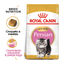 10 kg Royal Canin Kitten Persa ração para gatinhos, , large Indicador imagem número 2