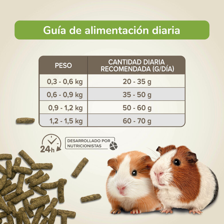 Beaphar Care+ Nature ração para porquinhos-da-índia,  Imagem número 4 Beaphar Care+ Nature ração para porquinhos-da-índia, , large Imagem número 4