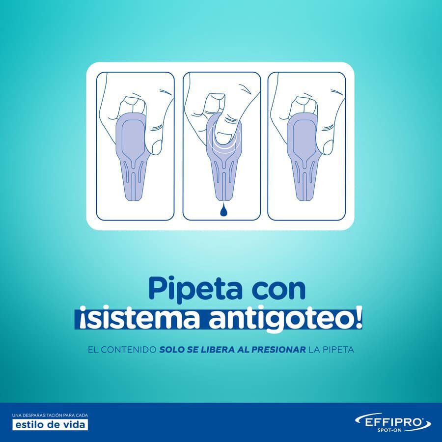 Effipro pipetas antiparasit&aacute;rias para c&atilde;es 40-60 kg, , large Imagem n&uacute;mero 6