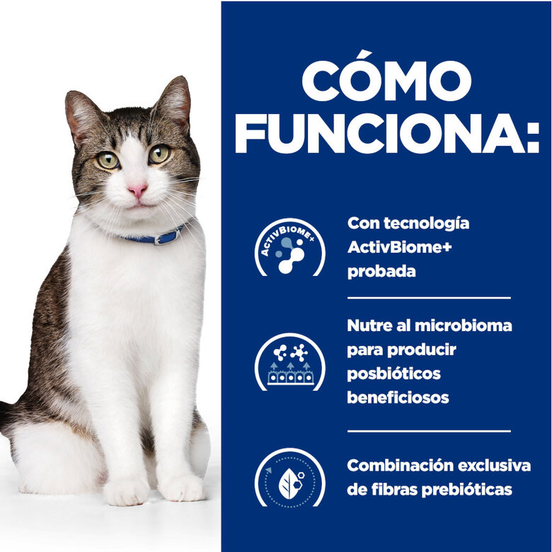 82 g Hill’s Prescription Diet Gastrointestinal Biome Stress estufado lata para gatos,  Imagem número 5 82 g Hill’s Prescription Diet Gastrointestinal Biome Stress estufado lata para gatos, , large Imagem número 5
