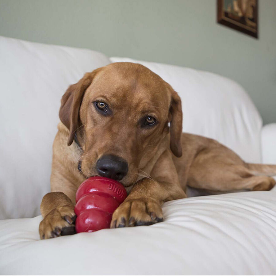 S Kong Biscoitos de Toucinho e Queijo para C&atilde;es, , large Imagem n&uacute;mero 3