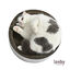 Leeby Domingo cama arranhador de cartão com padrão para gatos, , large Indicador imagem número 2