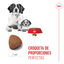 1 kg Royal Canin Medium Starter Mother&Baby ração para cães, , large Indicador imagem número 5