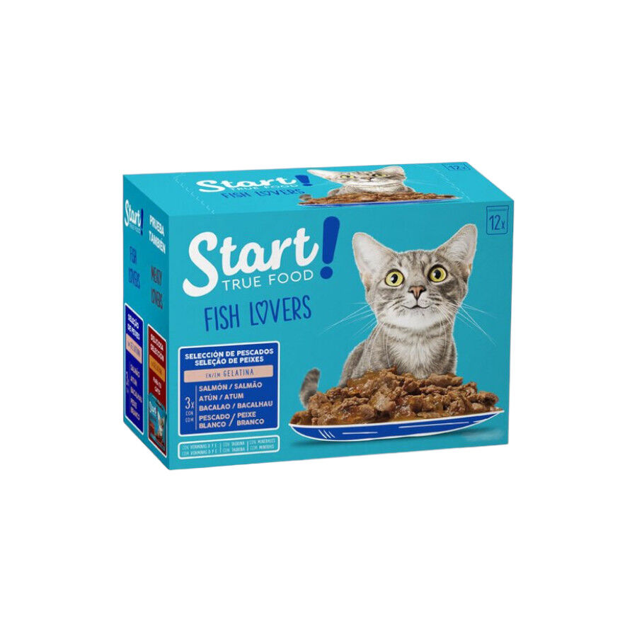 48 saquetas x 100 g Start Cat Peixe saqueta com gelatina para gatos - Multipack, , large Imagem n&uacute;mero 1