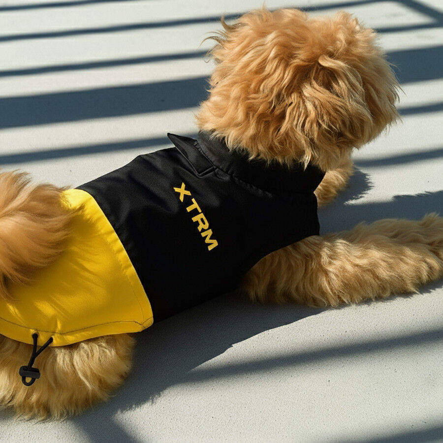 Nayeco X-TRM Capa de Chuva Preta e Amarela para c&atilde;es, , large Imagem n&uacute;mero 1