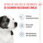 8 kg Royal Canin Mini Puppy ração para cães, , large Indicador imagem número 3