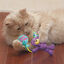 Kong Occasions Birthday Teddy Urso de peluche para gatos, , large Indicador imagem número 2