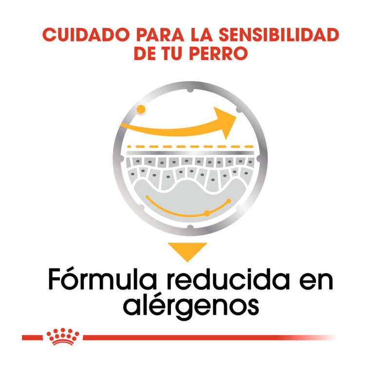 85 g Royal Canin Dermacomfort Saquetas Patê para cães,  Imagem número 5 85 g Royal Canin Dermacomfort Saquetas Patê para cães, , large Imagem número 5