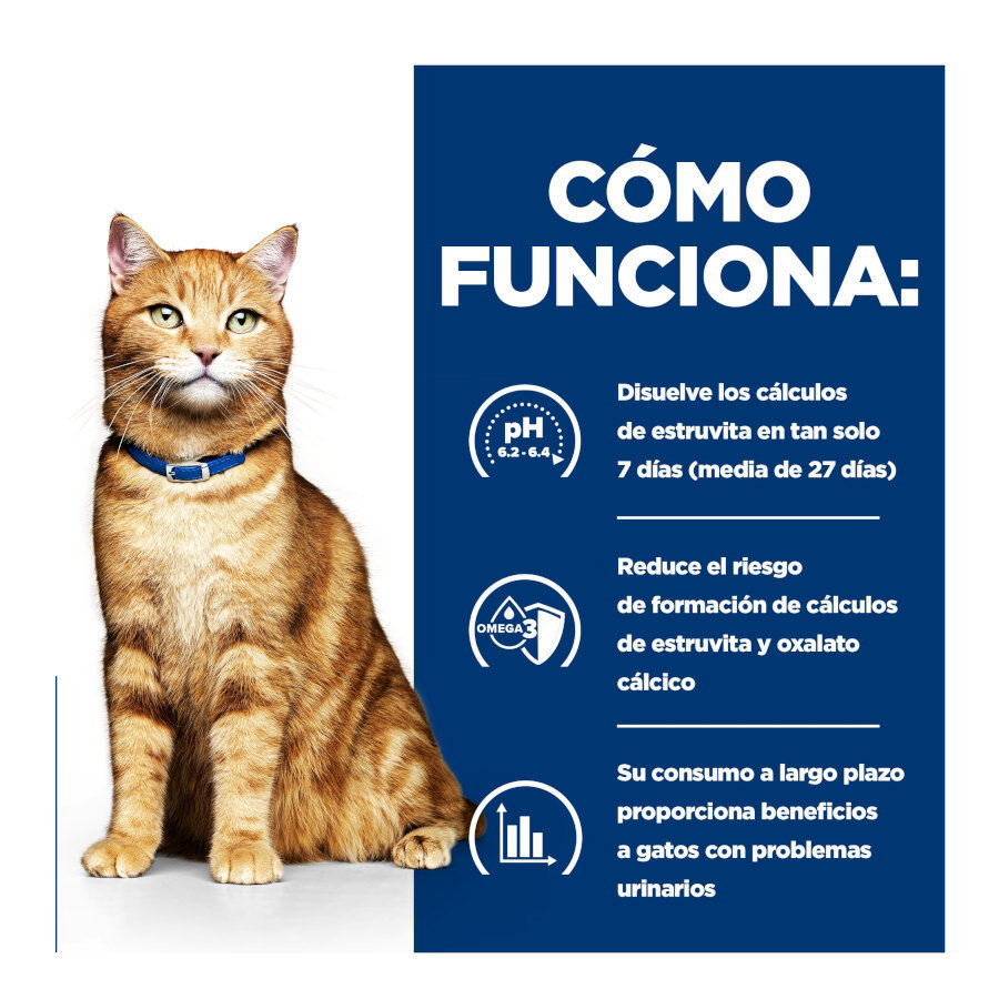 12 saquetas x 85 g Hill's Prescription Diet Urinary Care Frango saqueta para gatos, , large Imagem n&uacute;mero 3