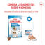 Royal Canin Mini Starter MothereBaby ração para cães, , large Indicador imagem número 6