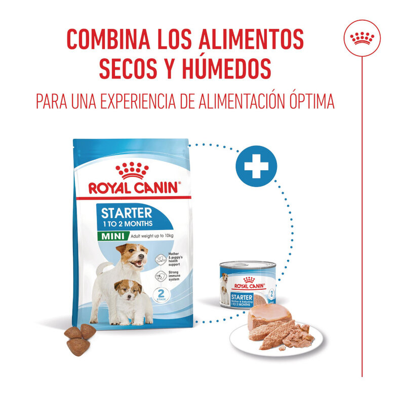 Royal Canin Mini Starter MothereBaby ração para cães,  Imagem número 6 Royal Canin Mini Starter MothereBaby ração para cães, , large Imagem número 6