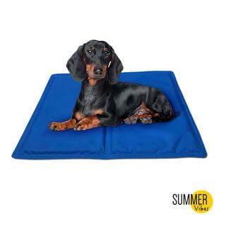 Summer Vibes Manta Refrescante Azul para cães