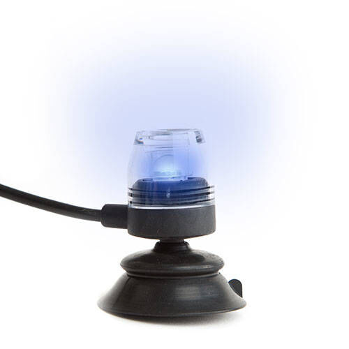 Hydor luz led azul para habitat, , large Imagem n&uacute;mero 1