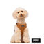 Gotoo Peitoral ajustável teddy castanho para cães, , large Indicador imagem número 3