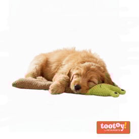 Tootoy! Comfort Caracol de brinquedo para c&atilde;es