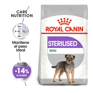 Royal Canin Mini Sterilised ração para cães