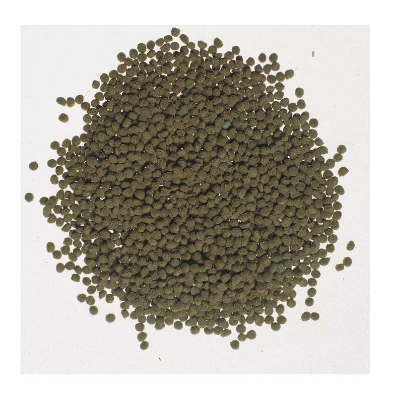 Tetra Goldfish Colour Sticks para peixes de água fria,  Imagem número 2 Tetra Goldfish Colour Sticks para peixes de água fria, , large Imagem número 2