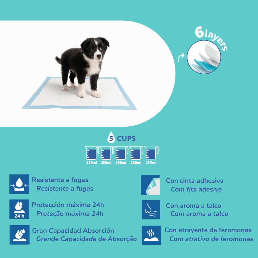 Nice Care Resguardos Premium para c&atilde;es, , large Imagem n&uacute;mero 2