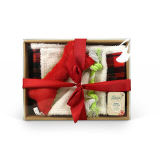Caixa de Natal Premium de Guau Christmas para cão